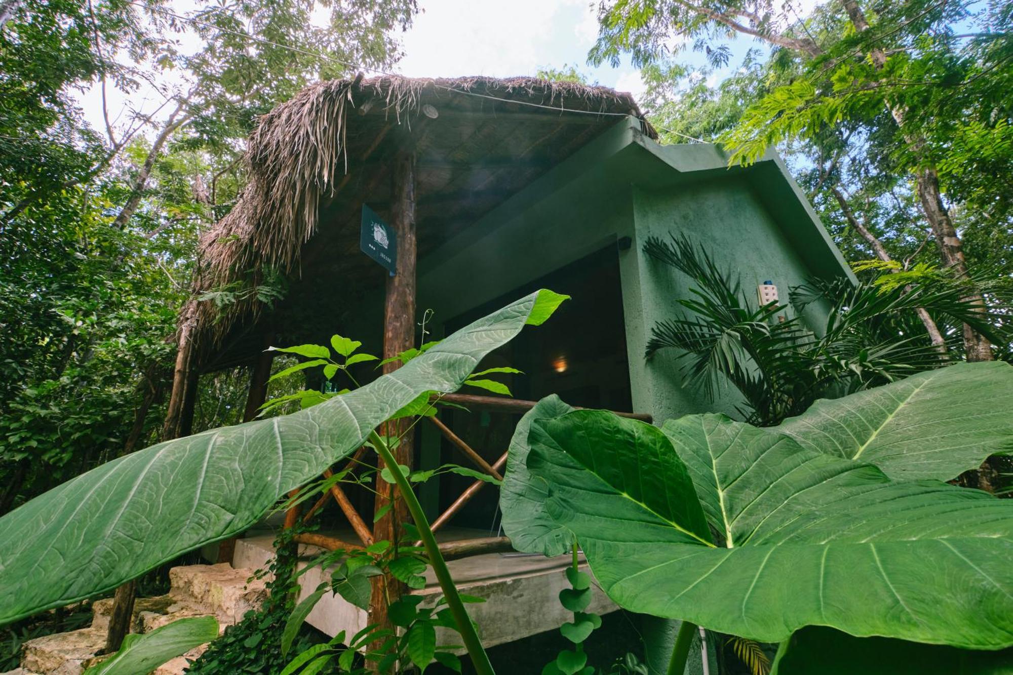 Villas Zamna - Jungle Villas コスメル エクステリア 写真