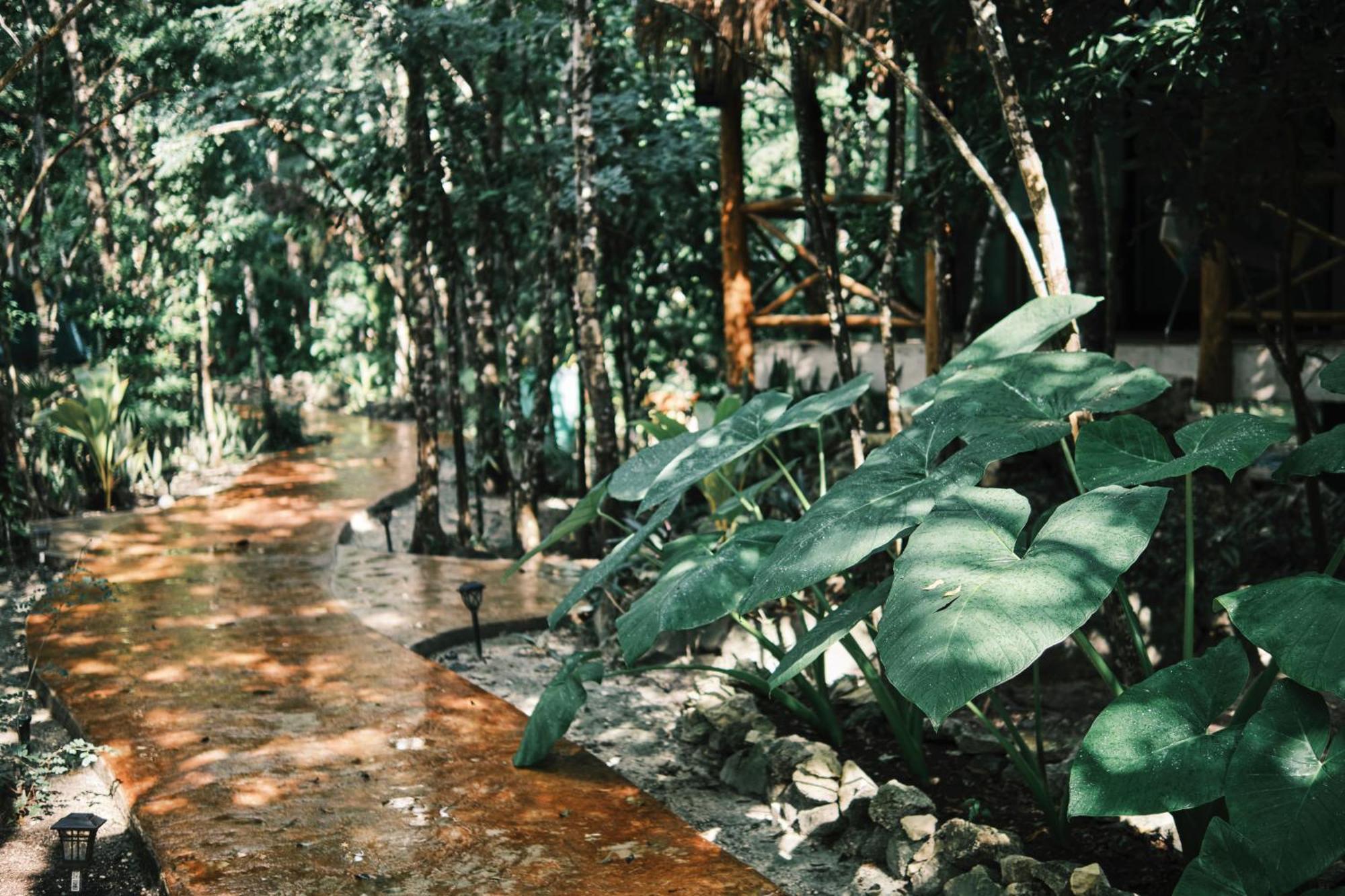 Villas Zamna - Jungle Villas コスメル エクステリア 写真