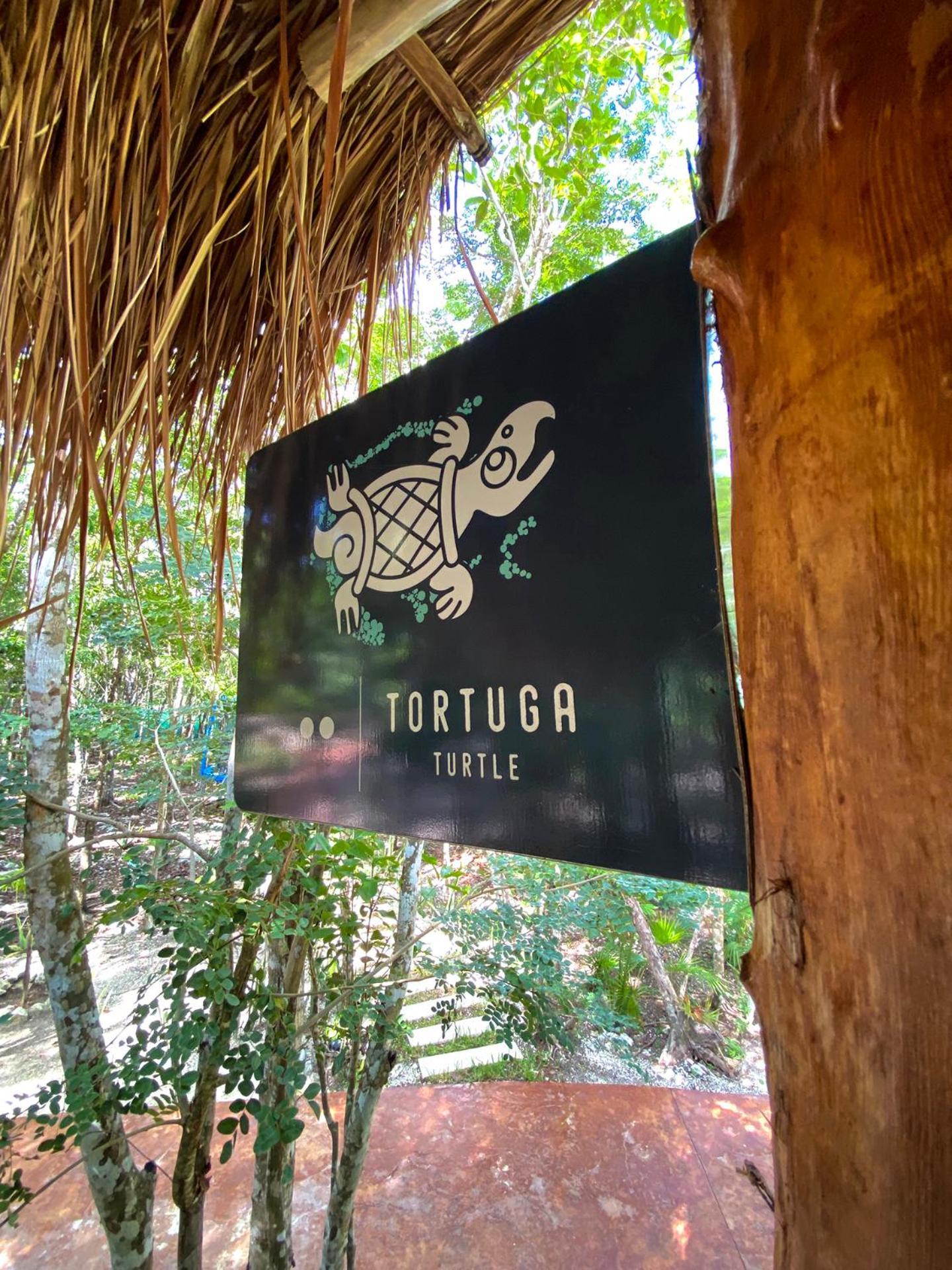 Villas Zamna - Jungle Villas コスメル エクステリア 写真