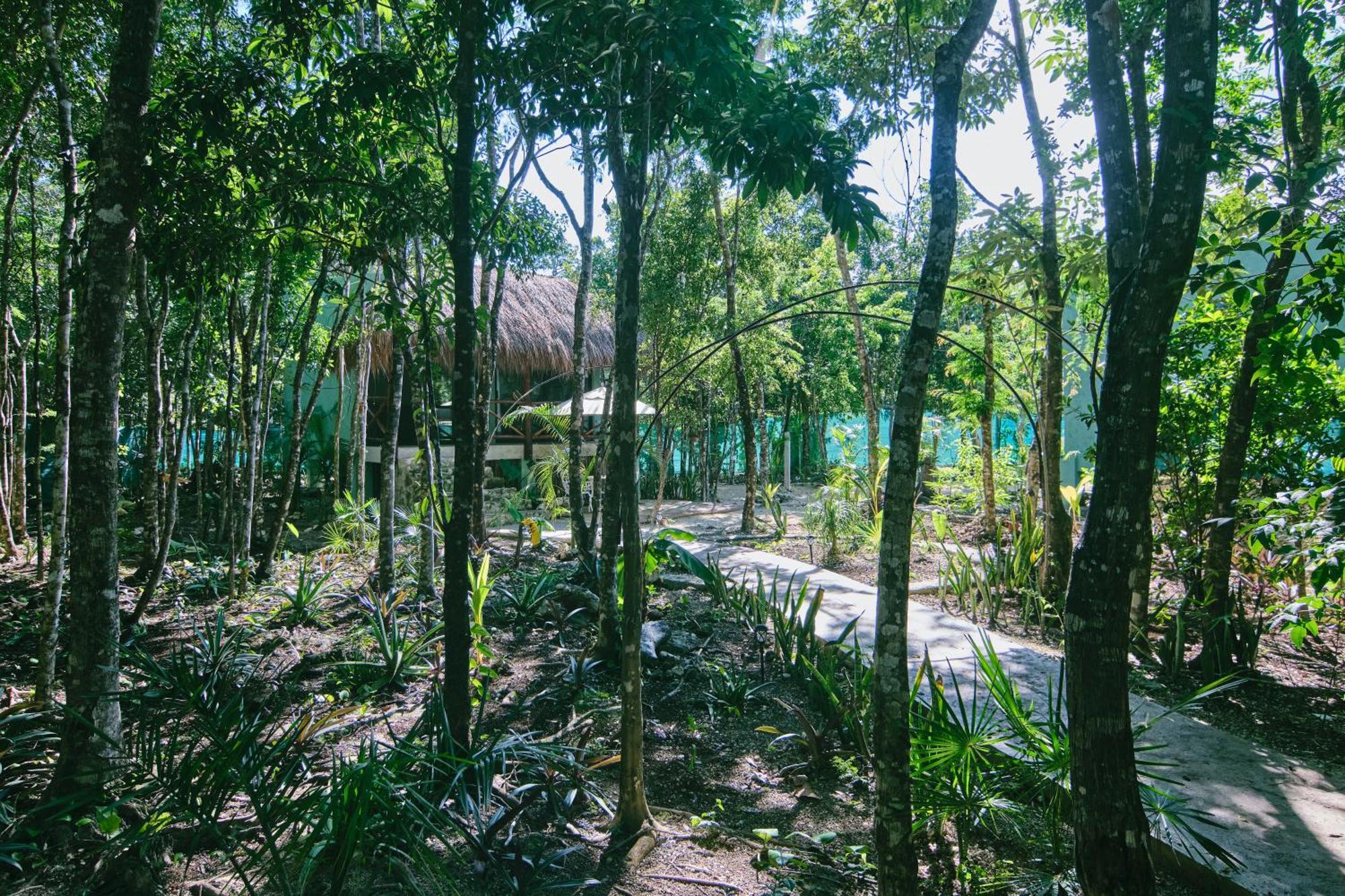 Villas Zamna - Jungle Villas コスメル エクステリア 写真
