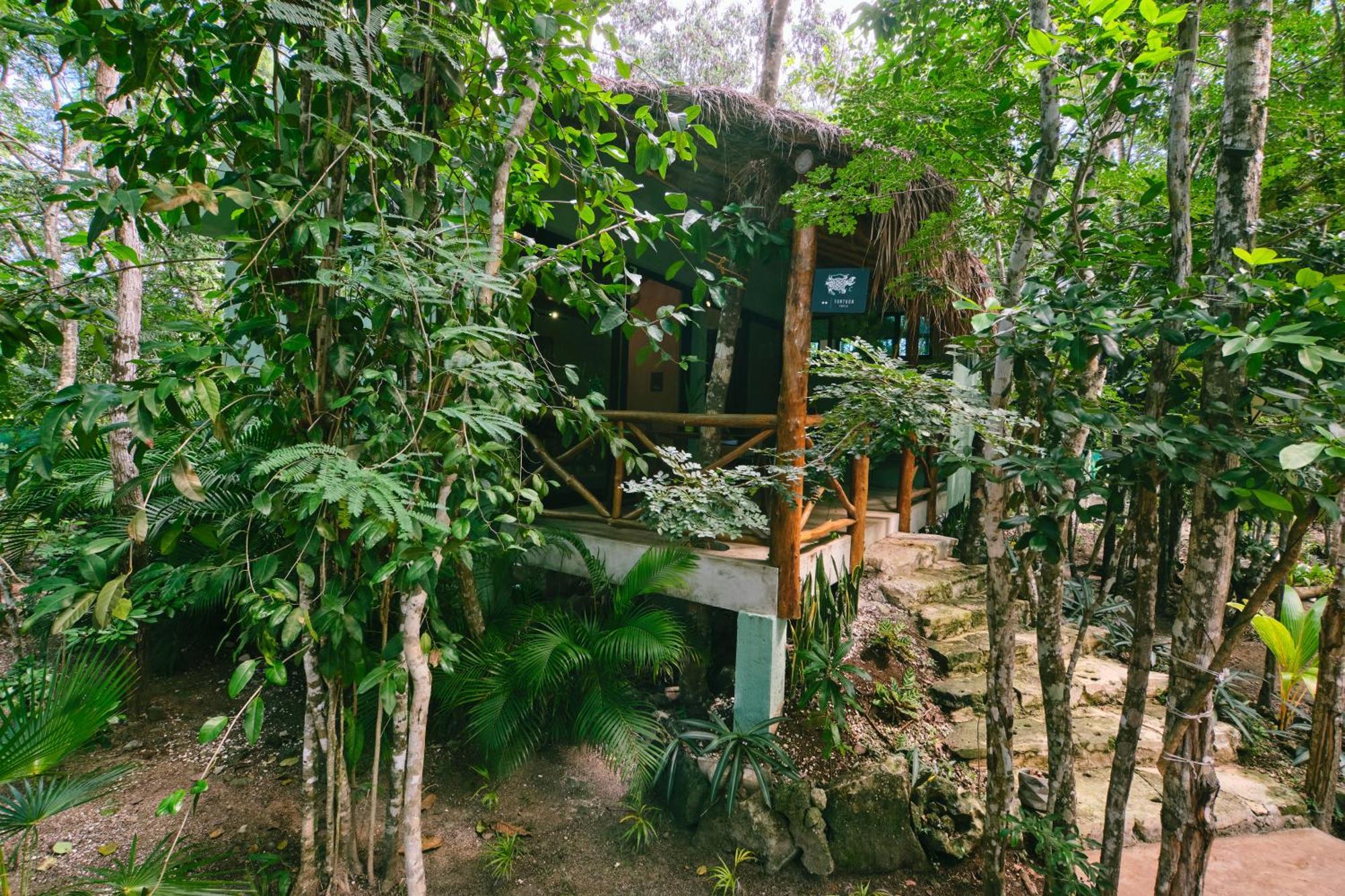 Villas Zamna - Jungle Villas コスメル エクステリア 写真