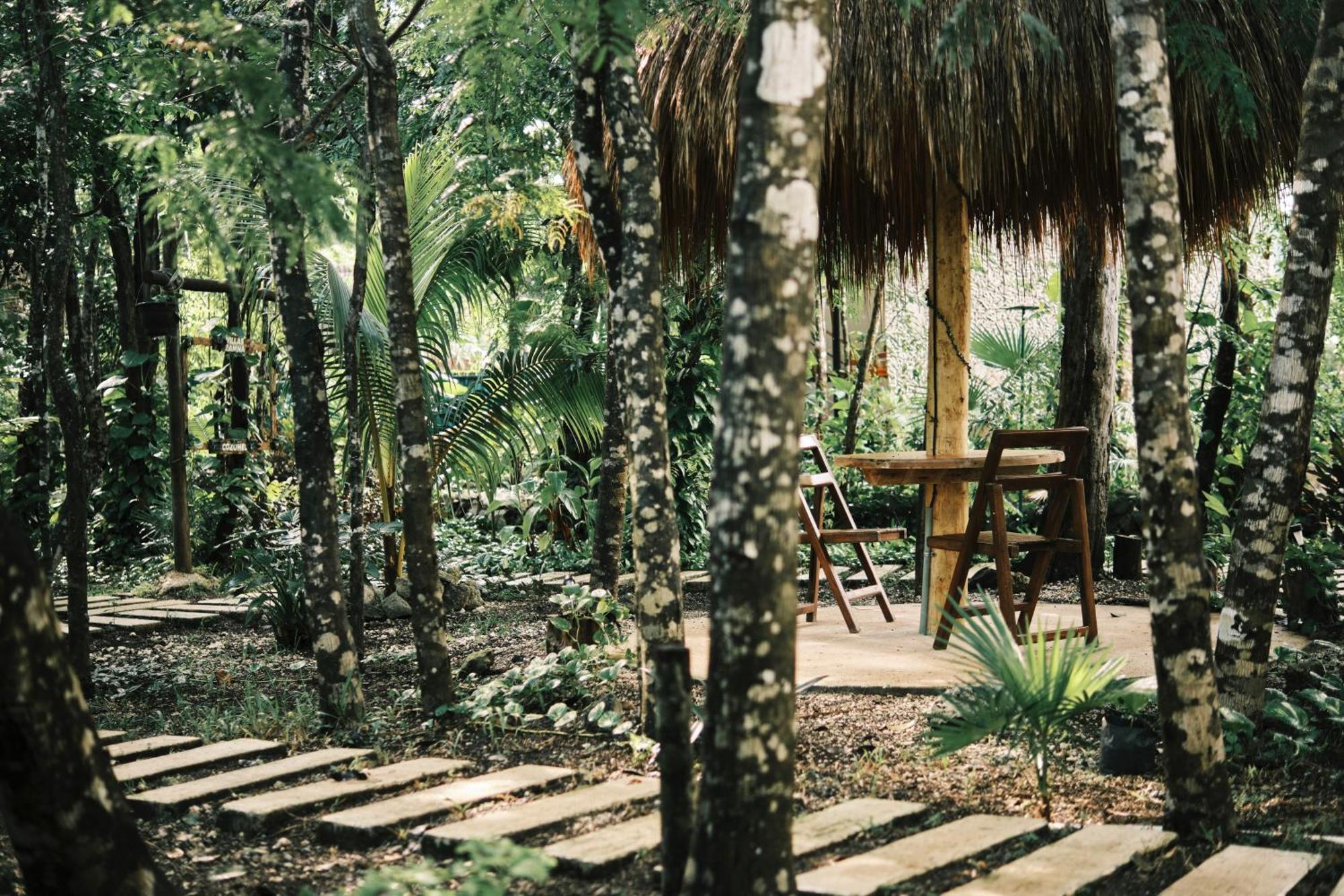 Villas Zamna - Jungle Villas コスメル エクステリア 写真
