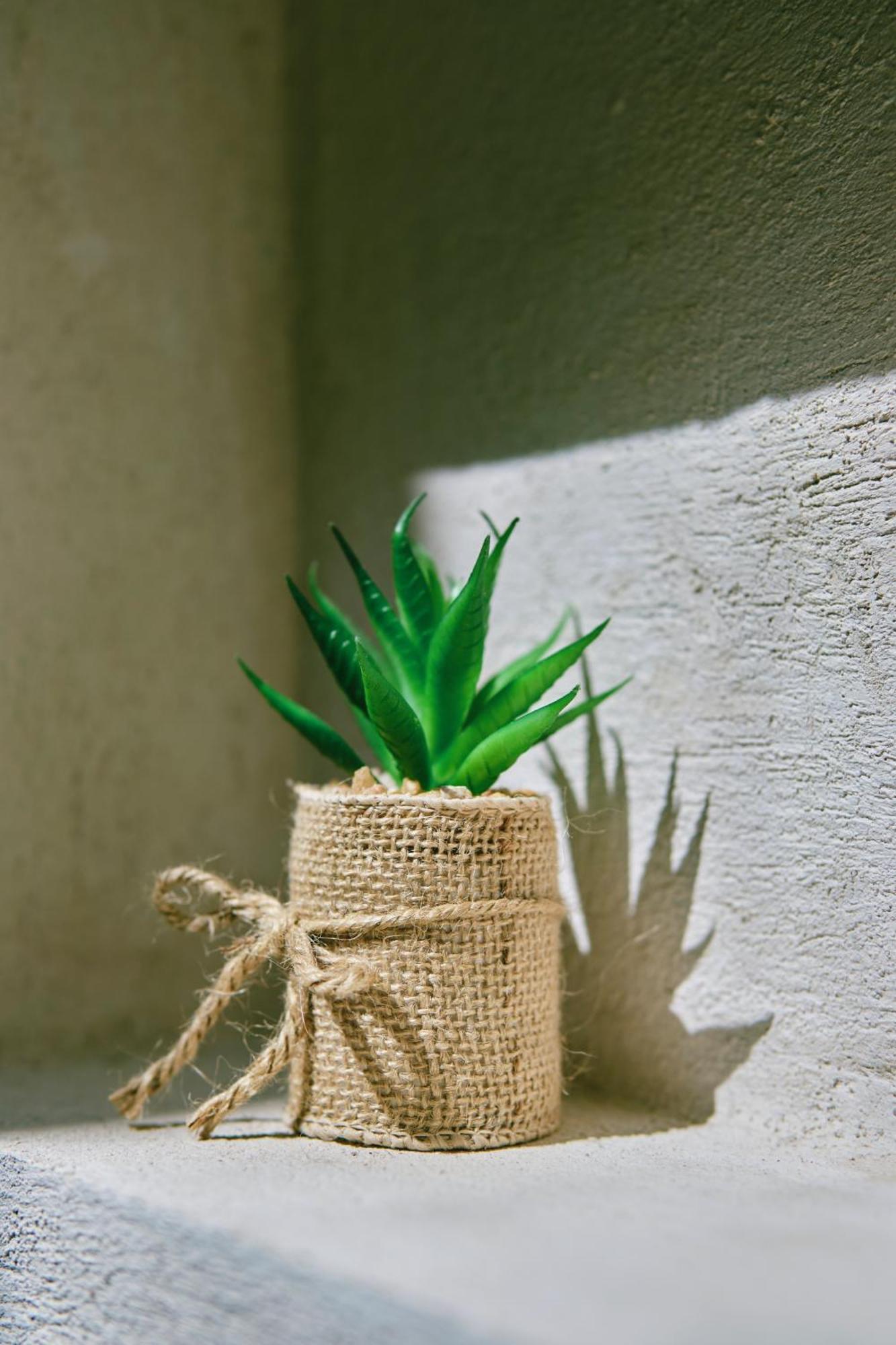 Villas Zamna - Jungle Villas コスメル エクステリア 写真