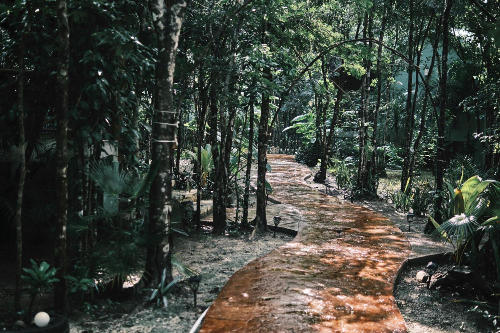 Villas Zamna - Jungle Villas コスメル エクステリア 写真