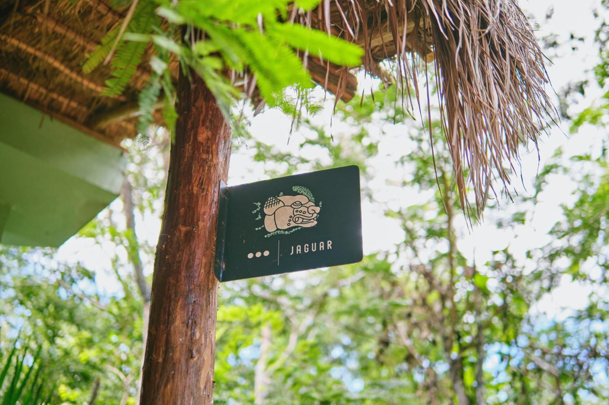 Villas Zamna - Jungle Villas コスメル エクステリア 写真