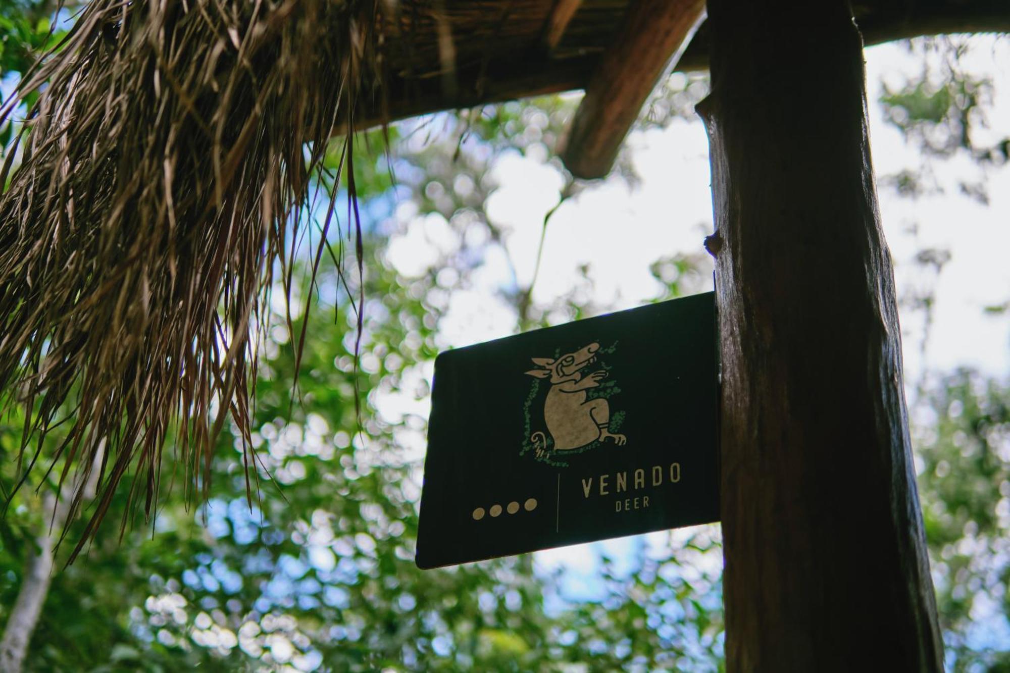 Villas Zamna - Jungle Villas コスメル エクステリア 写真